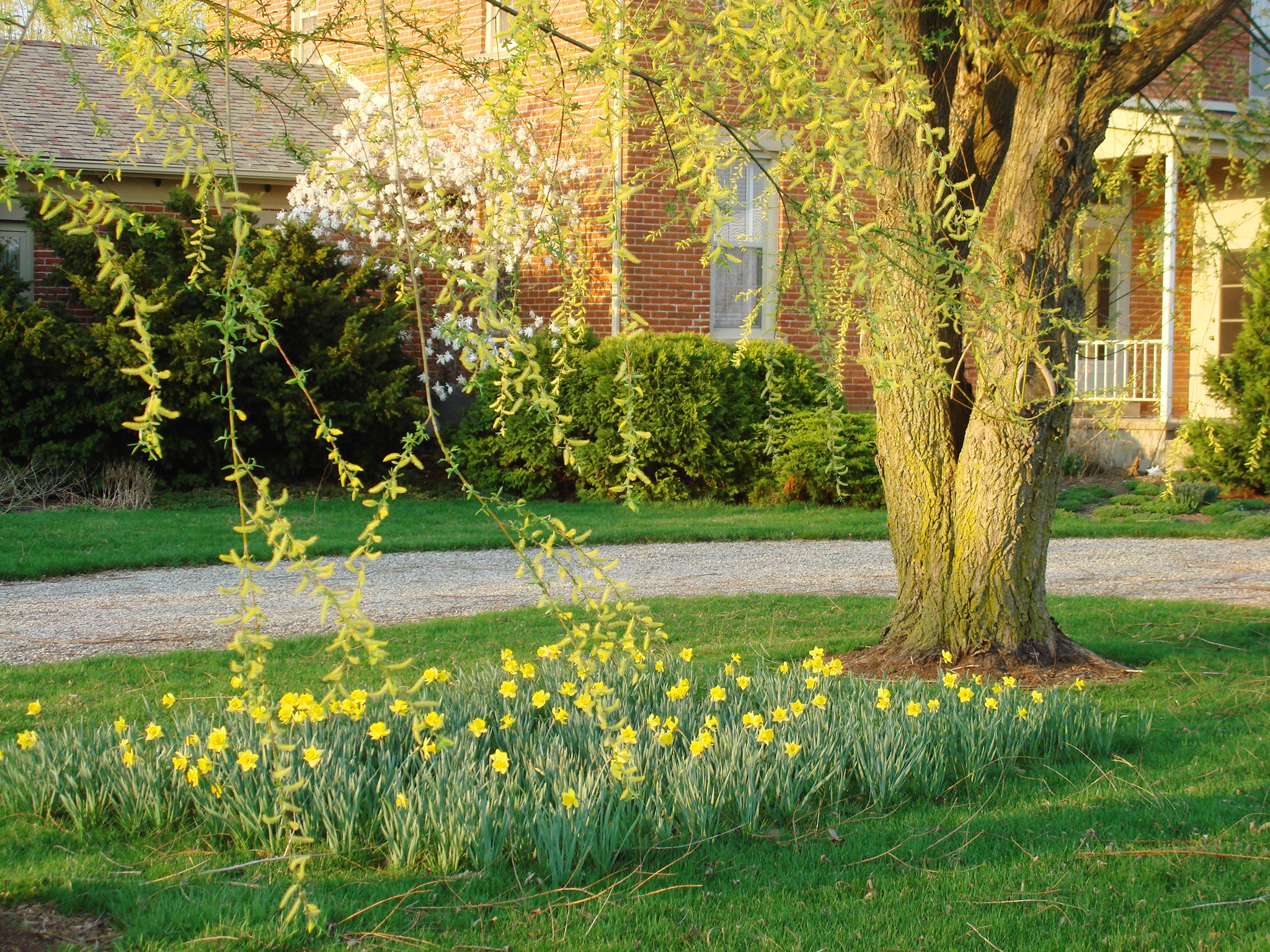 Property photo 44 - REAL ESTATE AUCTION! Grand Historic All Brick Home on 2.45 Acres!